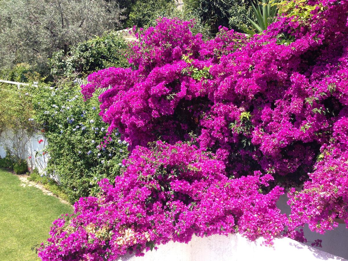 Villa Beautiful Pelion Sea House Kato Gatzea Exterior foto